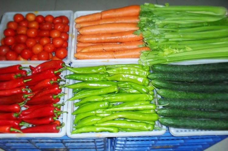 南昌蔬菜配送的基本介绍与进行蔬菜配送意义